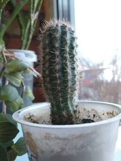 ������ � ������ �����