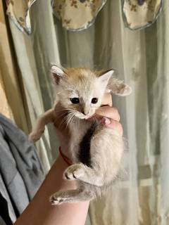 ����� ����� � ������ ����
