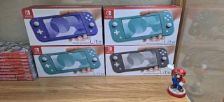 Nintendo Switch Lite ����� + PicoFly ���