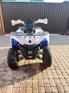 ���������� Shark 200