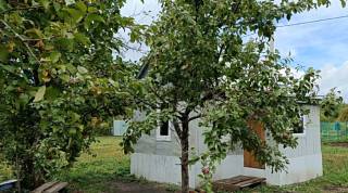 ���� 12 �³, �� ������� 6 ���. 15 ����� �� �������� ��� "�������"